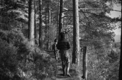 "Hyttetur 23.10.1960"