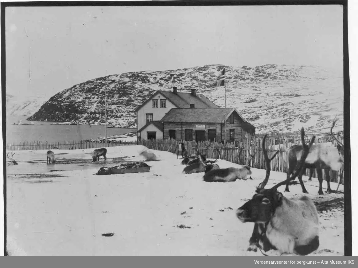 Bossekopmarkedet. En gruppe med reinsdyr er inngjerdet bak noen trebygninger. En flaggstang med det norske flagget. Vinter og sne. Pulk.