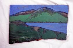 Juninat i haven [Trykkplate]