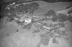 Steine nordre, Follebu, Gausdal, 1952, åkrer, slåttemark