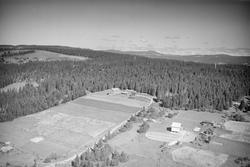 Gårder i Østre Gausdal, åkrer, slåttemark, hesjer,bygging av