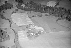 Kveine nordre (Likveine),  Østre Gausdal, åkrer, slåttemark,