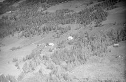 Gardsbruket Nyland. Vestre Gausdal. Bygninger. Skog og jorde