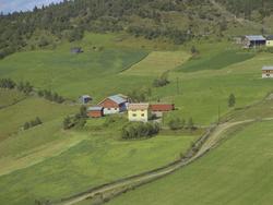 Kolden, gårdsbruk, hesjer, Østre Gausdal