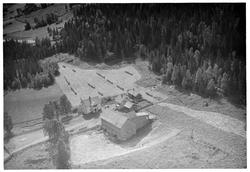 Rusten gård, Øyer, 14.08.1953, gårdsdrift, blandingsskog.