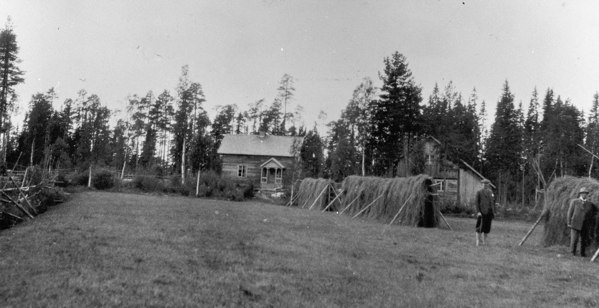Karl Olssons kolonat, med hässjor framför stuga.
