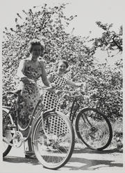 Pinsetur i Hardanger