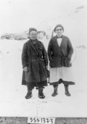 Almetjedåehkie/ gruppe