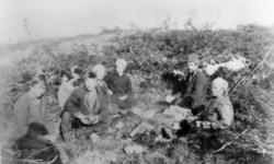 Almetjedåehkie/ gruppe