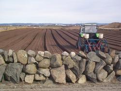 Gulrot eller mjølk - prosjekt innan samtidsdokumentasjon