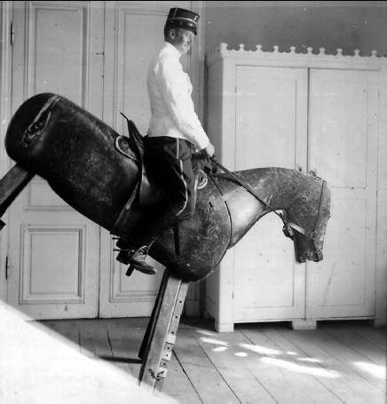 "Mobila hästen" på Strömsholms veterinäravdelning.