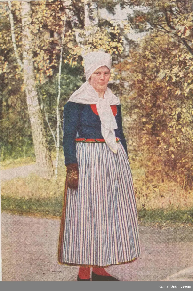 Helgdagsdräkt för hustru från Skedevi socken i Östergötland.