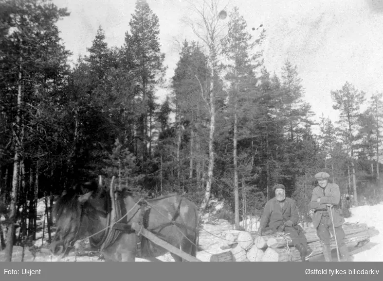 Tømmerkjøring i Tårnbyskogen i Rømskog i 1930-åra.
På lasset Juel Haugbakk, ved siden av Anders Taraldrud.