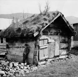 Dokumentasjonsbilder i serie av et lite, gammelt hus. Skal h