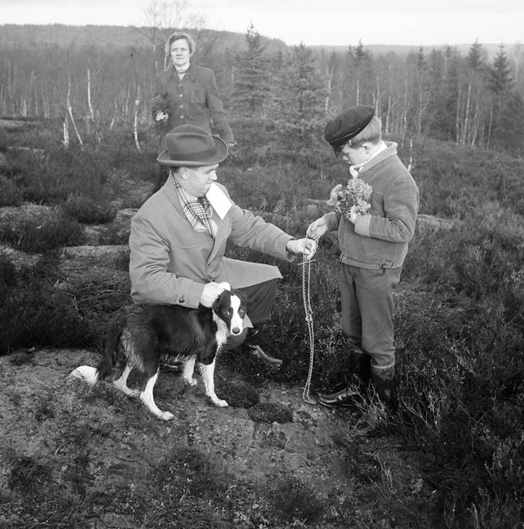 Enligt notering: "Skogspromenaden Avsl Dec 1960".