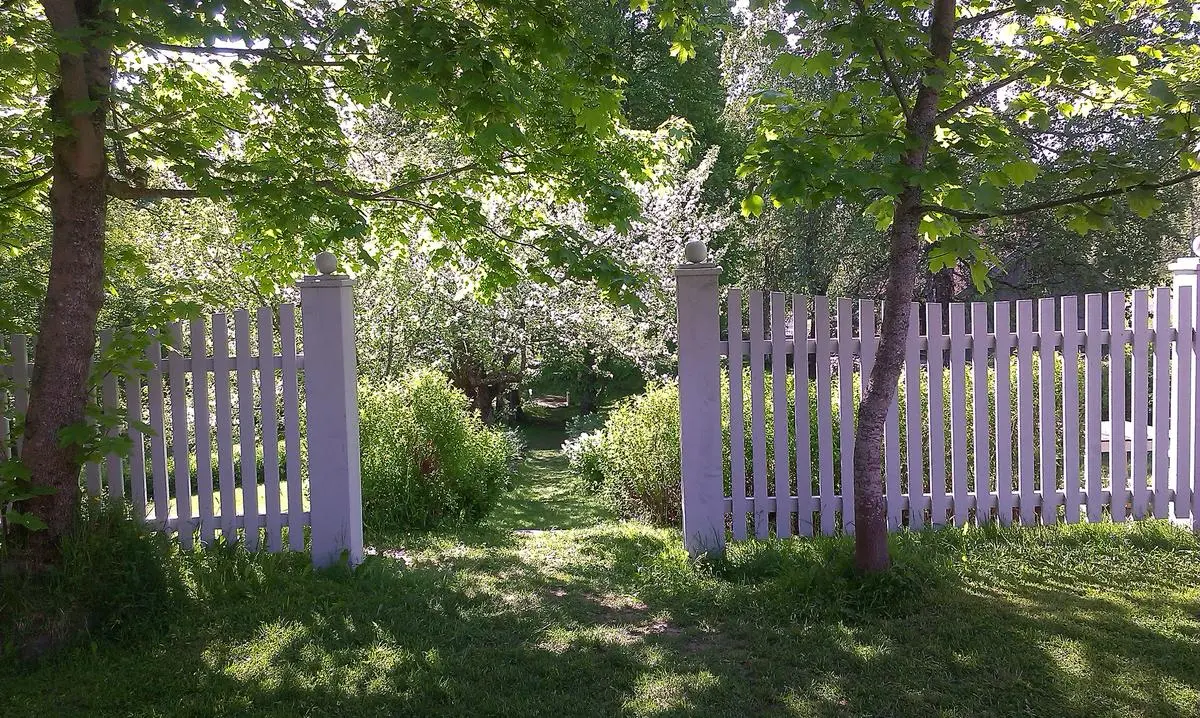 Stenbergparken epleblomstring
