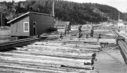 Tømmertunnelen i Eidet i Tune.
"Den øvre jernbrua. Her ble 