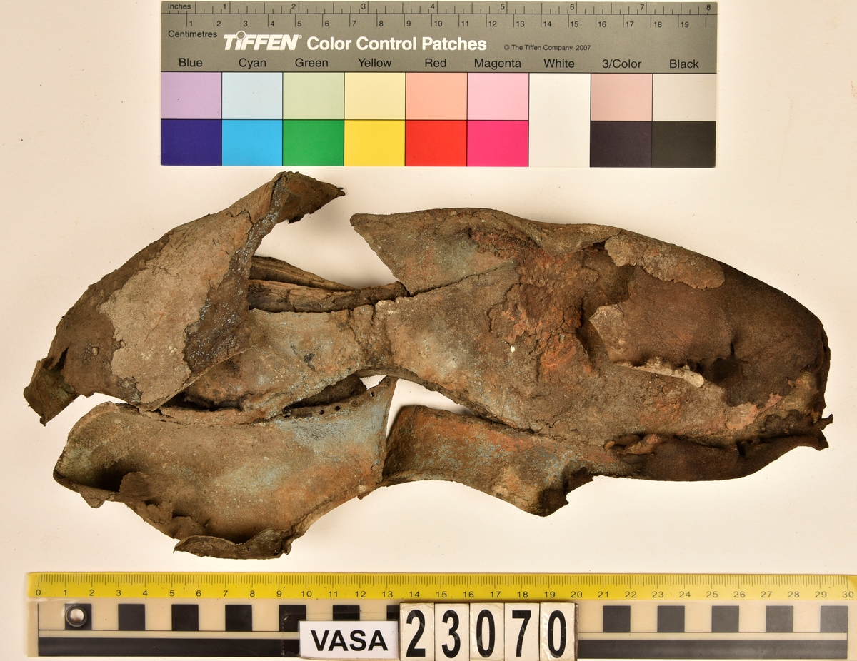 Utanför skeppet, långt akterut på babord sida, hittades mänskliga kvarlevor från "skelett Y". Inuti och i närheten av ett par skor hittades fotben från individ Y (fnr 23069 och 23070). Inuti skorna hittades även fragment från olika textilier som ursprungligen varit ett par strumpor. Idag sitter ett stickat fragment av ull fast i vänsterskon (23070) med avigsidan uppåt. I fyndet finns även en mängd lösa stickade fragment som idag är mycket korroderade och vissa helt mineraliserade av järn vilket har gjort textilen stenhård och därmed oerhört skör (23070a-c). Utifrån minskningar som några små fragment har så har det varit möjligt att rekonstruera strumpans tå. Genom att pussla ihop fragmenten som ursprungligen har suttit ihop har det på så vis gått att avgöra hur strumpans tå har varit konstruerad. Då textilen är så fragmentarisk är det inte möjligt att avgöra hur resten av strumpan har sett ut eller varit konstruerad. Däremot så finns det fragment av ett kypertvävt tyg av ull som på vissa ställen ligger dubbelt med det stickade 23070c). Ett av dessa fragment har stelnat i formen så som den suttit på fotens främre del inuti skon. Detta fragment täcker delvis det stickade tyget och har dessutom spår av kaststygn längs en kant. Så som det vävda tyget är placerat på det stickade tyget pekar på att man använt det som lagningslappar till sina stickade strumpor. 
I fyndet finns det även korroderade järnklumpar, ett tuskaftsvävt tyg av ull och rester av ett grovt bastfibergarn och två mindre läderfragment (23070d-f). Det är möjligt att även dessa har tillhört strumpan och/eller skon.

För mer detaljerad information från textildokumentationen (år 2022) se länkade filer.


Skodokumentation 2022:
Ovanläder. Tillverkad i getskinn av god kvalitet. Hör ihop med fyndnummer 23069 (Yngves skor). Tillverkades på en rak läst och bars på vänster fot. Inga dekorationer Det finns stygnhål som visar att det funnits invändiga förstärkningar (men förstärkningslappen saknas). Det finns delaminering men inga lagningar.
För mer information, se Länkade filer: Uppritning

Text in english:
This is the upper of a shoe of more “extreme fashion”, made of goatskin leather of good quality, probably made on a straight last and worn of the left foot, with no decorative features. The upper couples with 23069, together composing Yngve’s shoes. There are internal reinforcements missing from the upper and delamination, there are no repairs.
For more information, go to Länkade filer: Uppritning