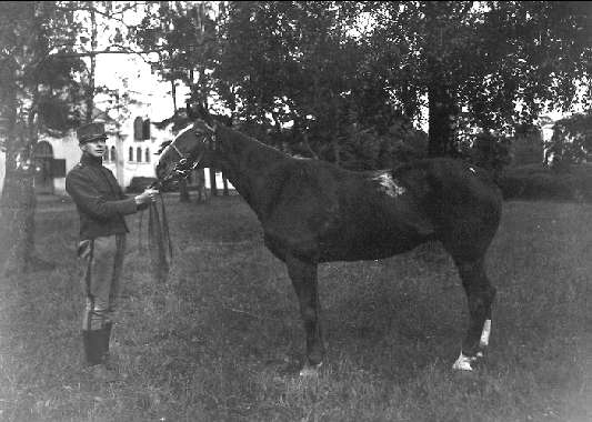 Ryttare med häst. Göta ingenjörskår 1913 - 14.