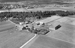 Lilleborge,  to gårdsbruk i Borge. To hovedhus og to store l