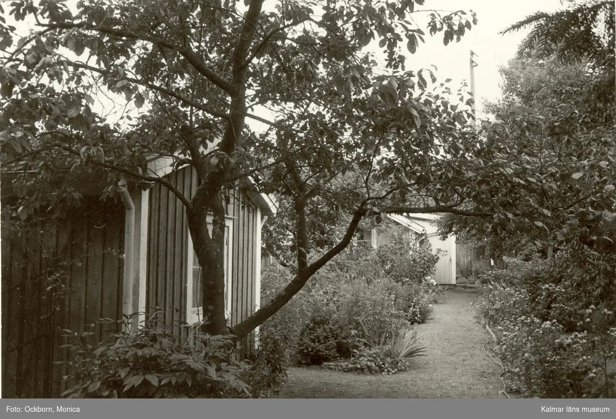 Stugor i trädgård i kvarter Akacian 19, Klostergatan 8.