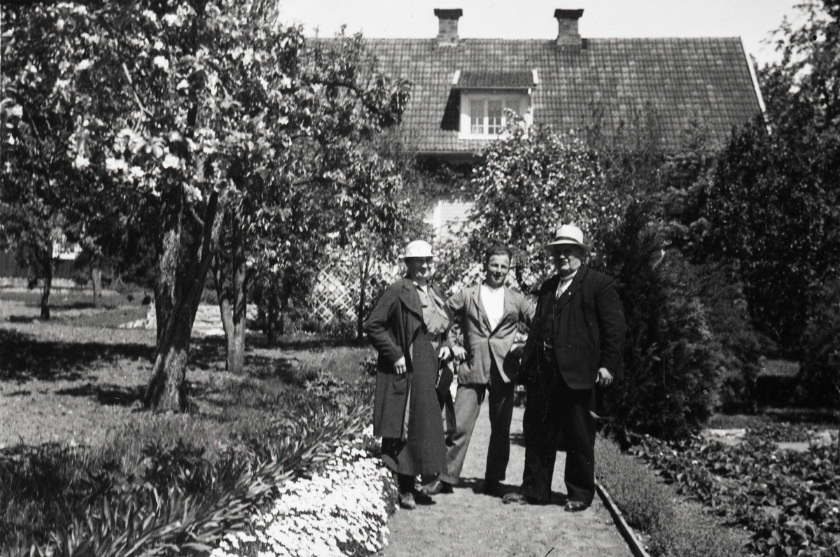 Trädgård ritad 1927.