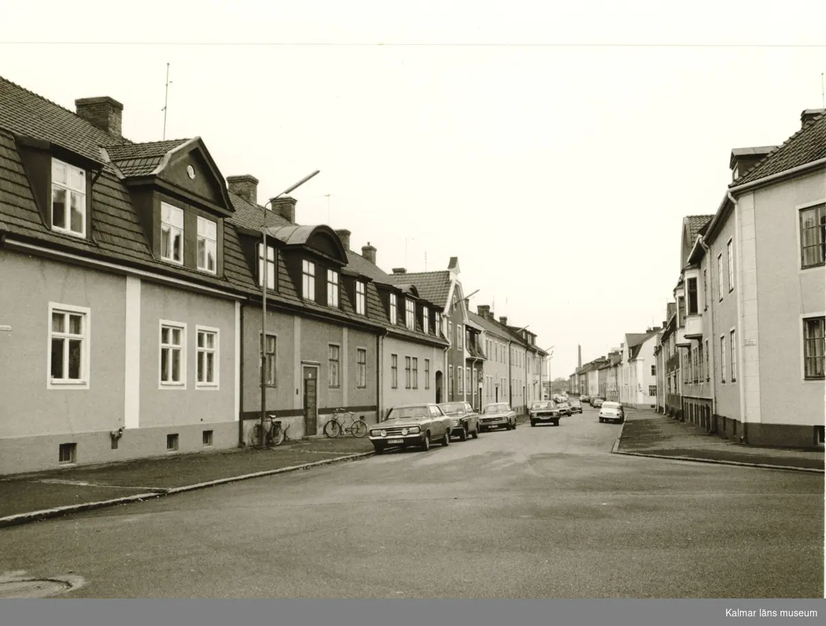 Tegnérgatan från Ryttaregatan. Till vänster kvarteret Grönsiskan, till höger kvarteret Hackspetten.