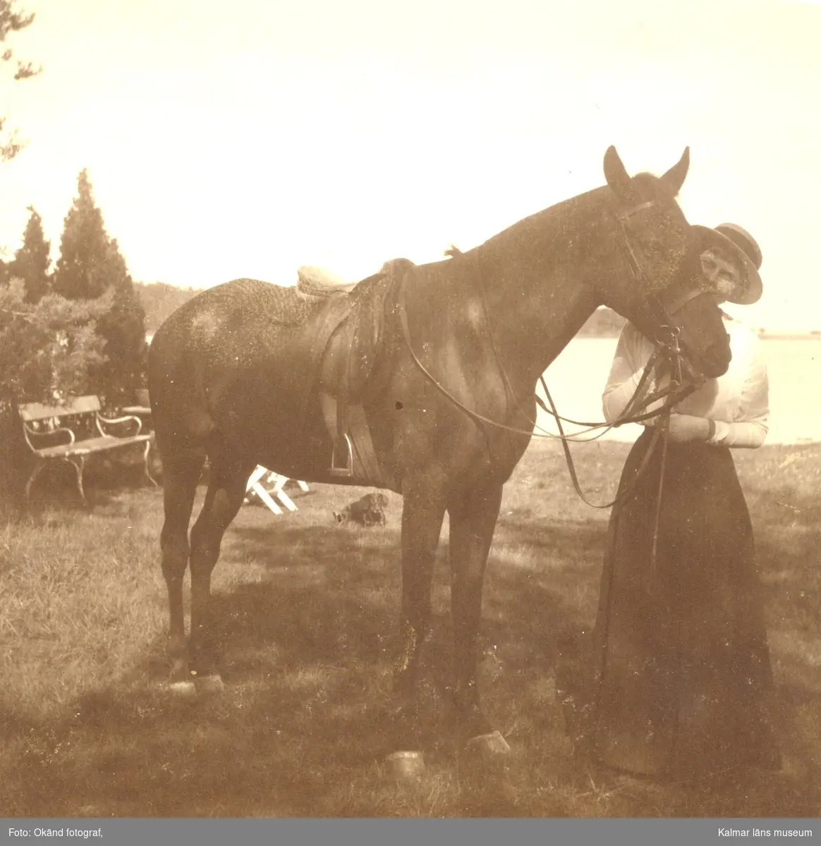 Kvinna med häst vid Le Grands sommarstuga på Jutnabben.