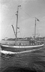 Karmøy fiskefestival. Fiskebåtene på vei til og fra fiskefel