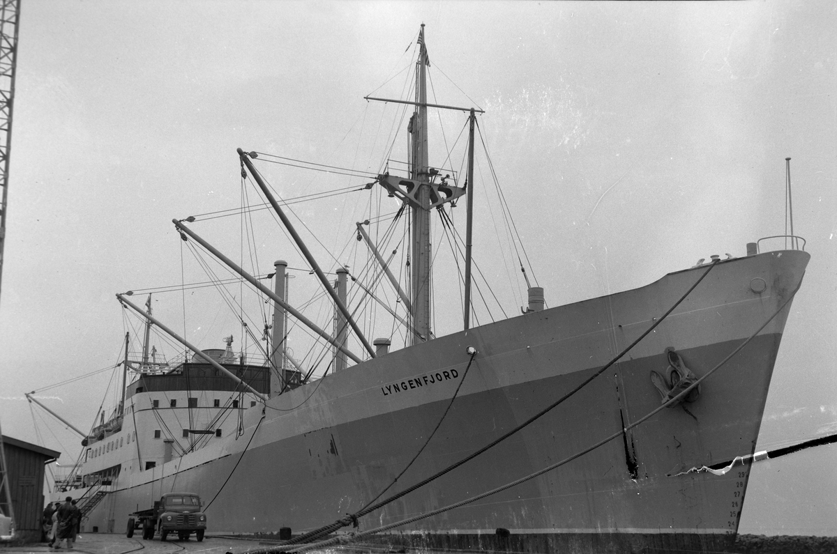 Eksport av fiskefilet mm med Lyngenfjord