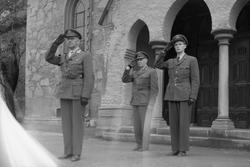 Luftvernartelleriets parade