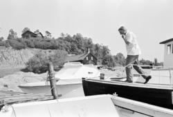 Arve Opsahl, Illustrert