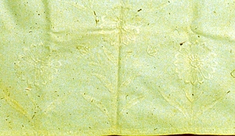 Nattdräktsfodral sytt av ett vitt bomullstyg med vitt blombroderi på locket.



Neg.nr: 1988-01