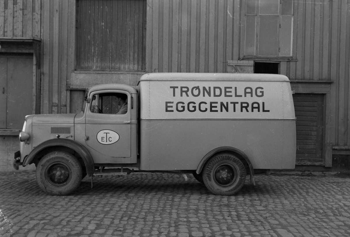 Varebil fra Trøndelag Eggcentral