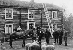 2-etg. bolighus, stige, hest, personer, sauer.