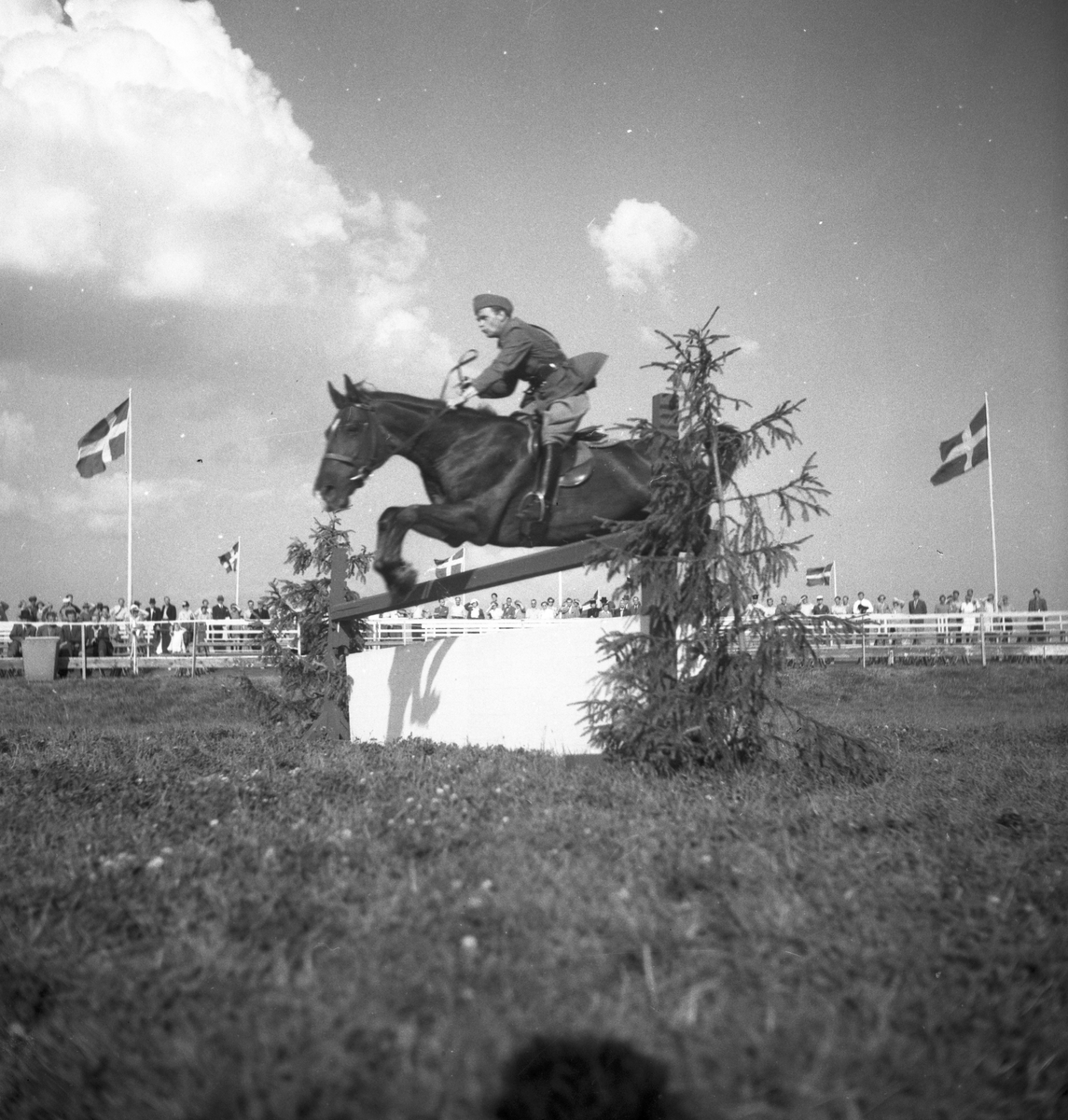 Ryttartävlingar. 1946