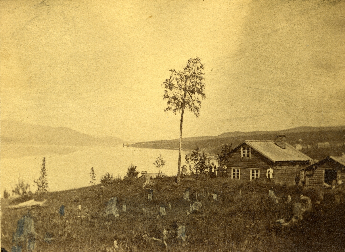 Søberg - utsikt utover Osensjøen, S. Osen.