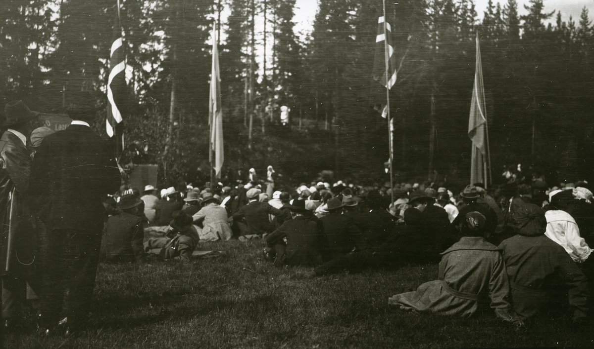 Mennesker forsamlet, sittende på bakken i Lutnes. Flagg (to svenske og to norske) - grensestevne.