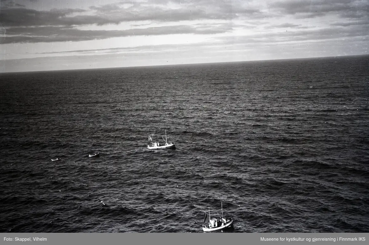 Flyfoto. Fiskebåter ved Nordkapp. 22.08.1953.