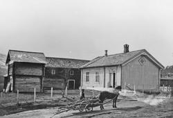 Gårdsbruk, hest, vogn, person, vedhugst.