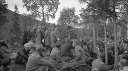 Bondestevne på Majavatn på 1934. Mye folk sittende i skogen.