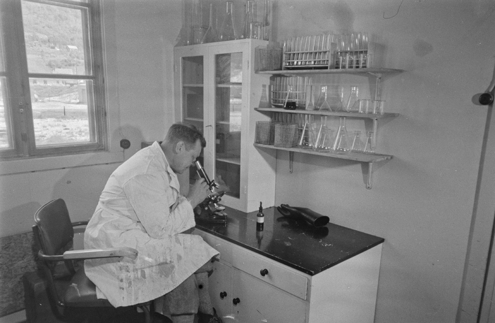 Slakteriarbeidere og distriktsveterinær Kurt Ragnvald Bakstad. Røine i arbeide ved slakteriet på Jernbanekaia.(1946-1959.) Flere bilder inne og ute.
Salgslag slakteri