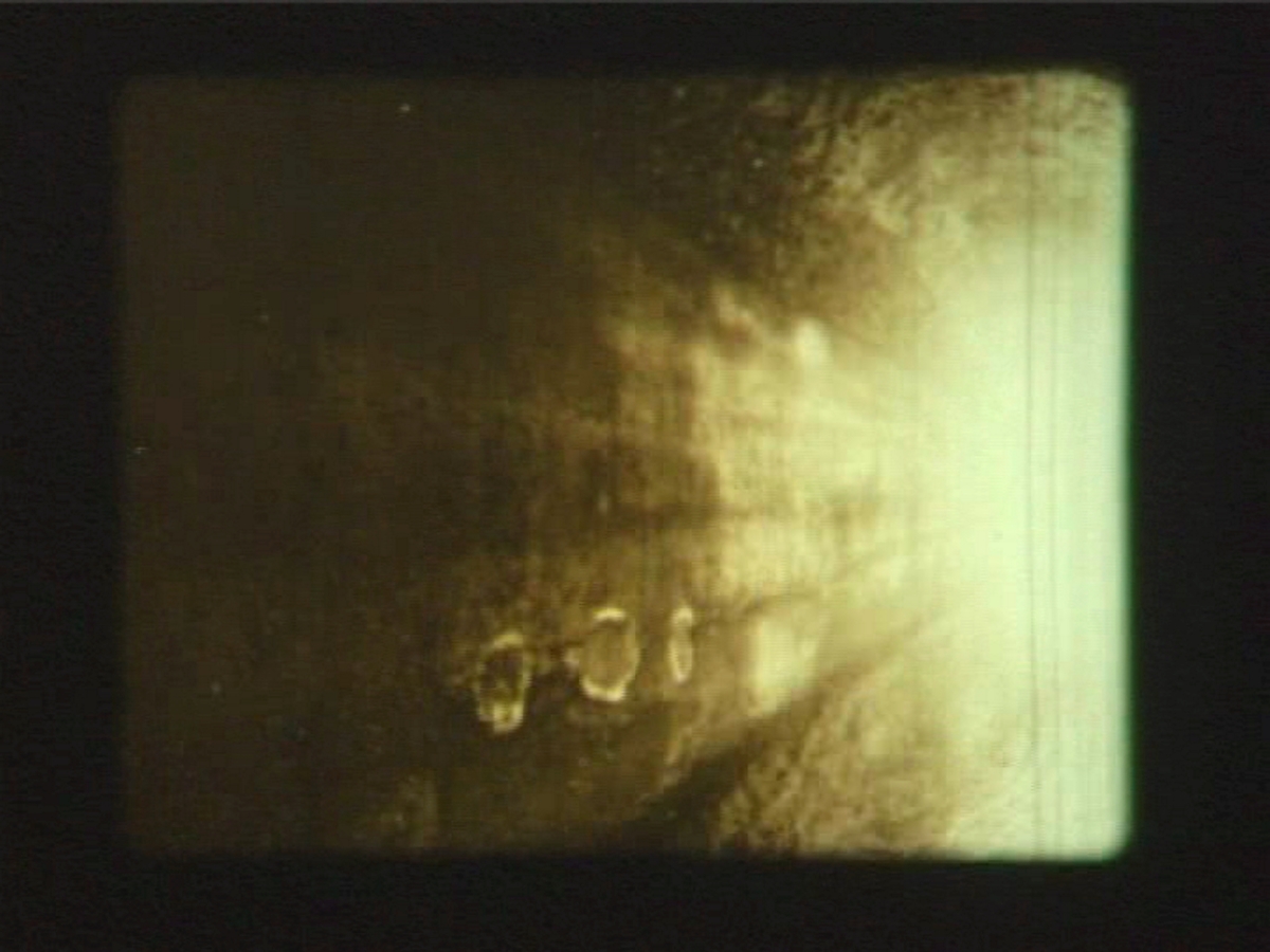 Down the Lane and Back Again [Film]