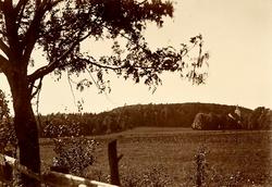 Tanum kirke? Ulleberg pr Larvik.
 Bilde fra Marie Knudtzon (