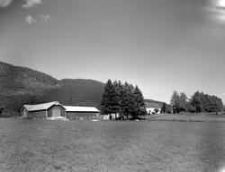 Bortistua, Meisingset. Fra Nordmøre museums fotosamlinger, H