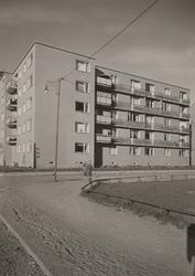 Leiegård i Åsaveien [Fotografi]