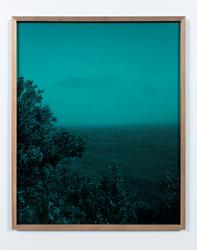 Day for Night [Fotografi]