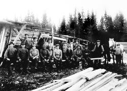 Mannskapet ved Sentvedt sag i Trøgstad, 1919-20.

Første r