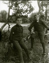 To gutar sit i eit tre.