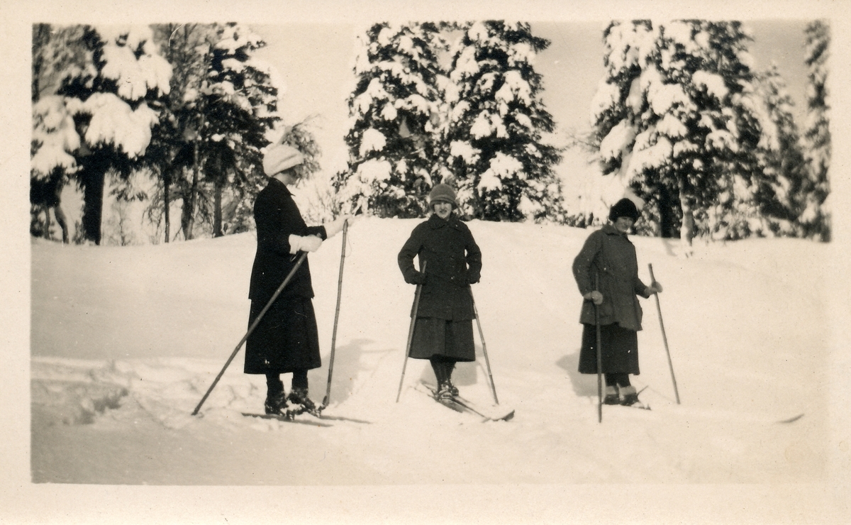 Tre unge kvinner på ski: Skjørt, lange jakker og strikka lue. Grantrær med mye snø.